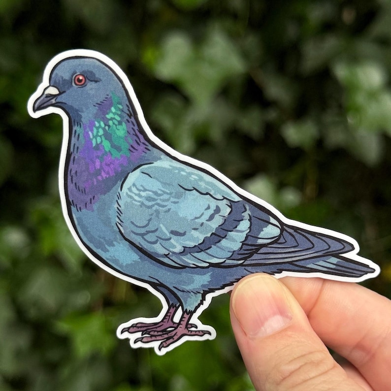 May include: A die-cut sticker featuring a detailed illustration of a pigeon. The bird has grey feathers, a dark beak, and a vibrant neck patch with iridescent purple and green coloring. The sticker has a clean white border around the entire bird.