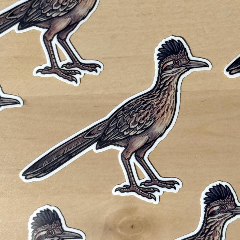 May include: A die-cut sticker featuring a detailed illustration of a roadrunner bird. The bird has brown and tan mottled feathers, a dark crest on its head, a long tail, and a sharp beak. The sticker has a white border around the bird's outline.
