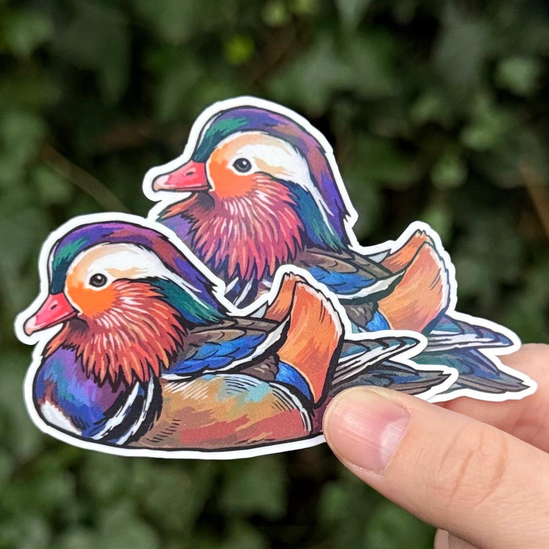 Mandarin Sticker Mandarin Duck Sticker - Colorful Bird Art - Matte or Holographic Finish ...
