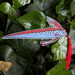 Peut inclure: Autocollant de poisson ruban bleu et rouge avec un pompon rouge. L'autocollant repr&eacute;sente un long poisson &eacute;lanc&eacute; avec une nageoire dorsale et une queue rouges, et des accents rouges sur les nageoires. Le poisson a des points noirs et un &oelig;il d&eacute;taill&eacute;.