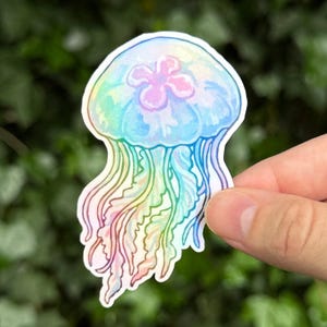 Pu&ograve; includere: Un adesivo fustellato raffigurante una medusa con una campana traslucida e iridescente nei toni del blu, rosa e giallo. La medusa presenta lunghi tentacoli fluidi e multicolori che sfumano attraverso uno spettro arcobaleno di tinte pastello.
