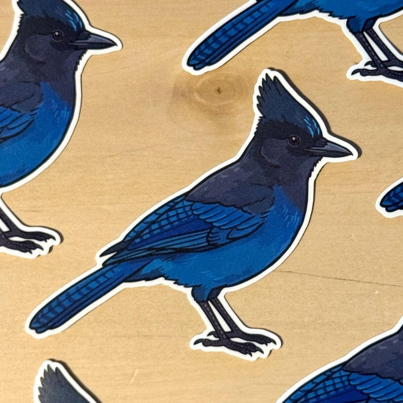 K&ouml;nnte beinhalten: Ein Aufkleber mit einem Diademh&auml;her, der einen dunkelblauen und schwarzen Kamm, einen schwarzen Schnabel und tiefblaues Gefieder an Fl&uuml;geln und K&ouml;rper aufweist. Der Vogel ist im Profil mit detailliertem Federkleid und wei&szlig;em Rand dargestellt.