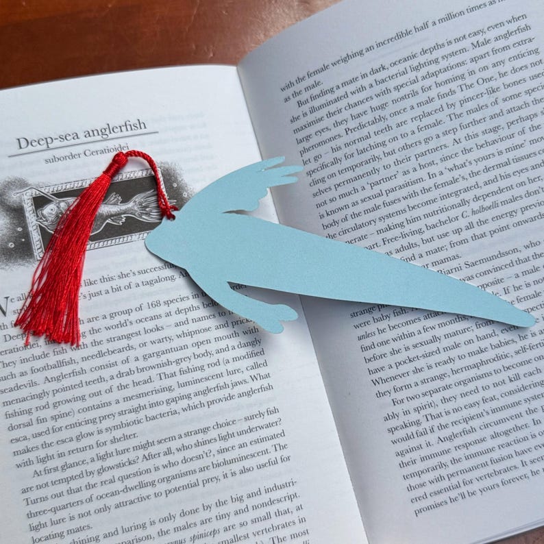 Peut inclure: Un marque-page bleu clair en forme de baudroie abyssale avec un pompon rouge, pos&eacute; sur un livre ouvert. Le marque-page est une silhouette de la cr&eacute;ature des abysses. Les pages du livre affichent du texte sur les baudroies abyssales.