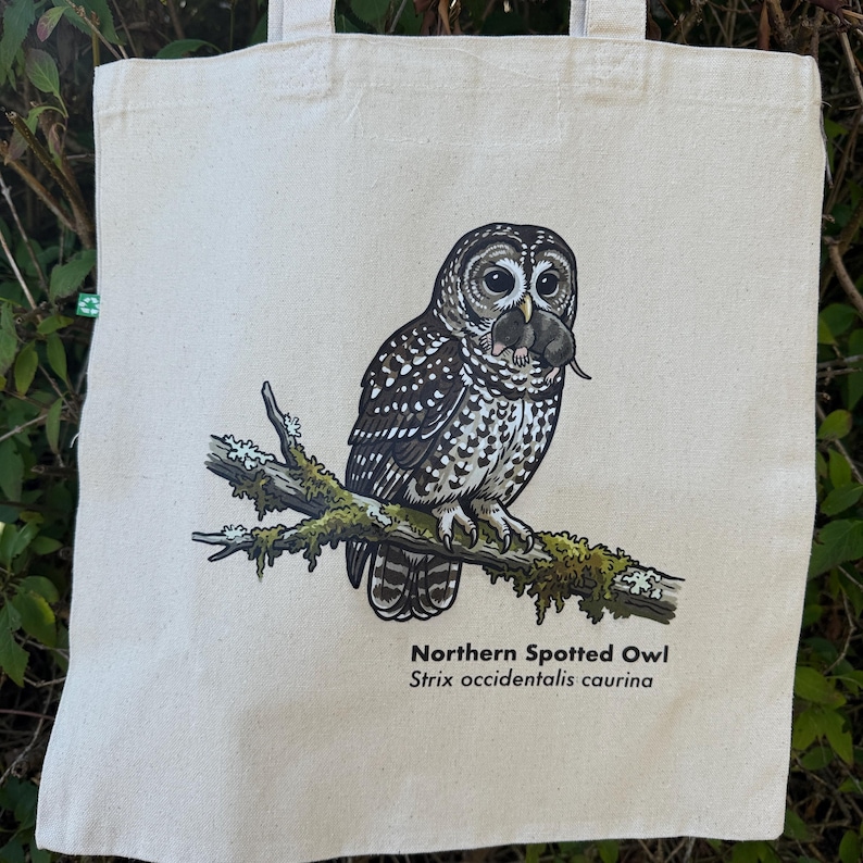 Pu&ograve; includere: Una borsa tote in tela color naturale con un'illustrazione dettagliata di un allocco macchiato del nord appollaiato su un ramo muschioso mentre tiene un piccolo roditore nel becco. Il testo Northern Spotted Owl Strix occidentalis caurina &egrave; stampato sotto.