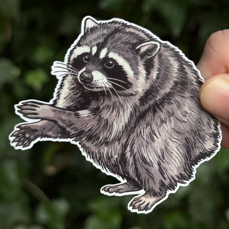 K&ouml;nnte beinhalten: Ein gestanzter Aufkleber mit einer detaillierten Illustration eines Waschb&auml;ren mit grauem und schwarzem Fell. Der Waschb&auml;r ist im Seitenprofil dargestellt, wobei die Vorderpfoten nach vorne gestreckt sind und die schwarze Augenmaske zeigen.