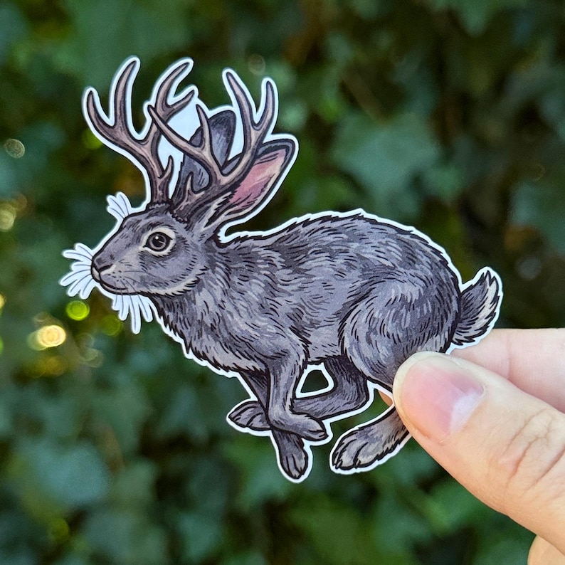 May include: A die-cut sticker featuring a detailed illustration of a jackalope, a rabbit with deer antlers. The creature is depicted in a running pose with grey fur, white whiskers, and brown antlers, outlined with a thick white border.