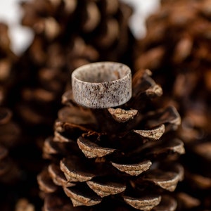 May include: A close-up of a ring made from a light-colored material with a speckled pattern. The ring is resting on a brown pine cone, with other pine cones in the blurred background. The ring appears to be a wedding band or a fashion accessory.