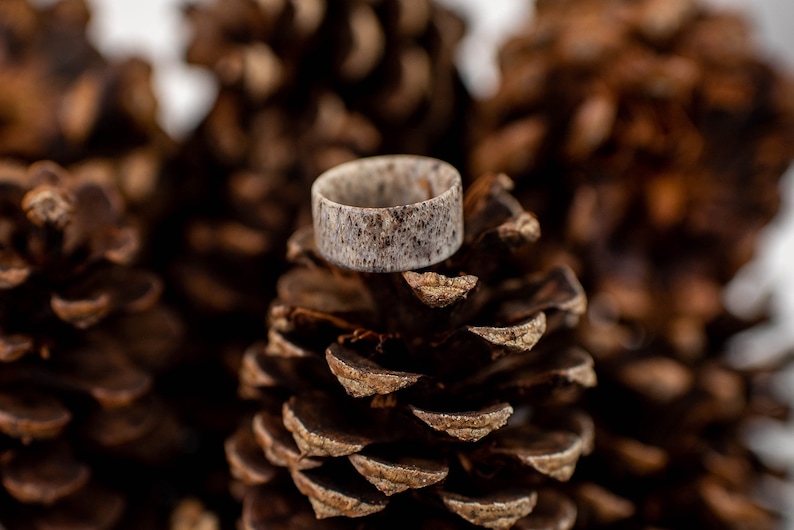 May include: A close-up of a ring made from a light-colored material with a speckled pattern. The ring is resting on a brown pine cone, with other pine cones in the blurred background. The ring appears to be a wedding band or a fashion accessory.