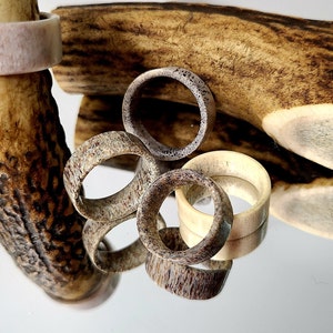 May include: A collection of handcrafted rings made from natural materials. The rings display a range of colors, including light beige, brown, and speckled patterns. The rings are displayed on a reflective surface, with a piece of antler in the background.