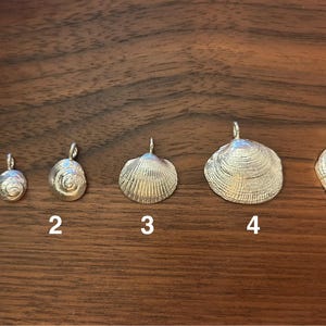Puede incluir: Cinco colgantes de conchas de metal plateado numerados del 1 al 5. La colección incluye dos conchas espirales pequeñas, una concha en forma de abanico, una concha más grande y una concha cónica, cada una con una pequeña anilla para colgar.