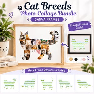 May include: A digital Cat Breeds Photo Collage Bundle for Canva featuring a light wood frame containing a cat-shaped mosaic of various cat portraits. The graphic includes text reading Cat Breeds Photo Collage Bundle, Canva Frames, and More Frame Options Included, with a secondary inset showing a black frame and colour swatches.