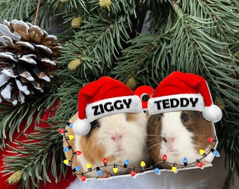 Aangepaste cavia ornament, gepersonaliseerd kerstcadeau, vakantie acryl ornament, kerst ornamenten, cavia's