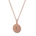 see more listings in the NECKLACES section