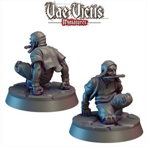 May include: Two gray miniature figures of a squatting character with a hood and a blade in their mouth. The figures are on a round base with a stone-like texture. The text "Vae Victis Miniatures" is at the top.