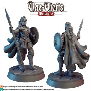 May include: A gray miniature figure of a warrior elf, holding a spear and shield. The figure is wearing armor and a cape. The base is square with a stone texture. The logo "Vae Victis Miniatures" is at the top.