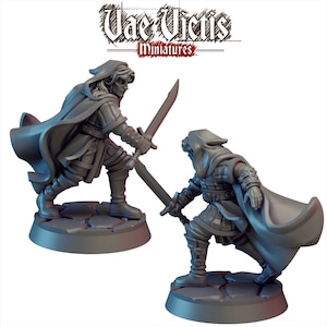May include: Two gray miniature figures of a hooded warrior with a sword, in a dynamic fighting pose. The figures are on a round base. The text "Vae Victis Miniatures" is at the top.