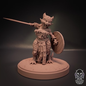 May include: A detailed, brown figurine of a fantasy creature, possibly a cat-like warrior, holding a sword and shield. The figure is posed on a circular base, showcasing intricate armor and fur details. The overall design suggests a miniature for tabletop gaming or display.