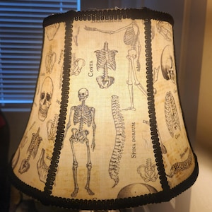 May include: A conical lamp shade featuring a vintage-style anatomical print of human skeletons and bones on a cream-colored background. The shade is accented with black trim along the top and bottom edges and vertical black piping between panels.
