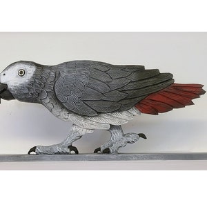 African Grey Parrot Topper - Timneh