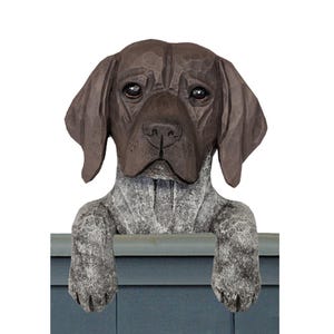 German Shorthaired Pointer Resin Door Topper, Computer Topper, or Shelf Sitter