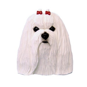 Maltese Head Study Wall hanging