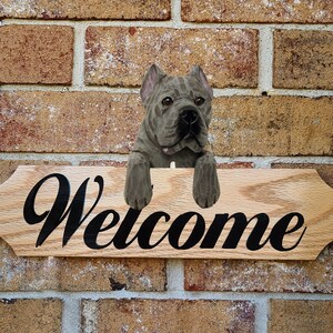 Cane Corso Topper Wall Sign - Multiple Colors Available