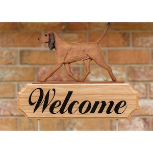 Redbone Coonhound DIG (Dog in Gait) Welcome Stake