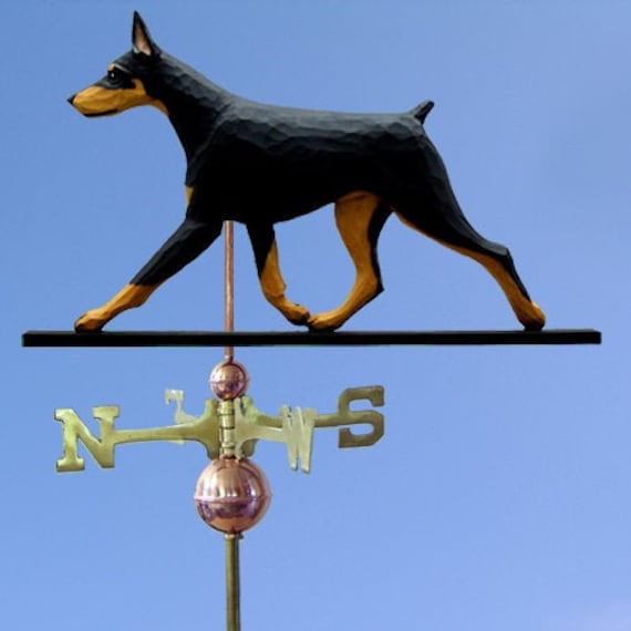 Doberman 22