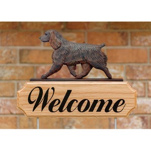 Boykin Spaniel DIG (Dog in Gait) Welcome Stake