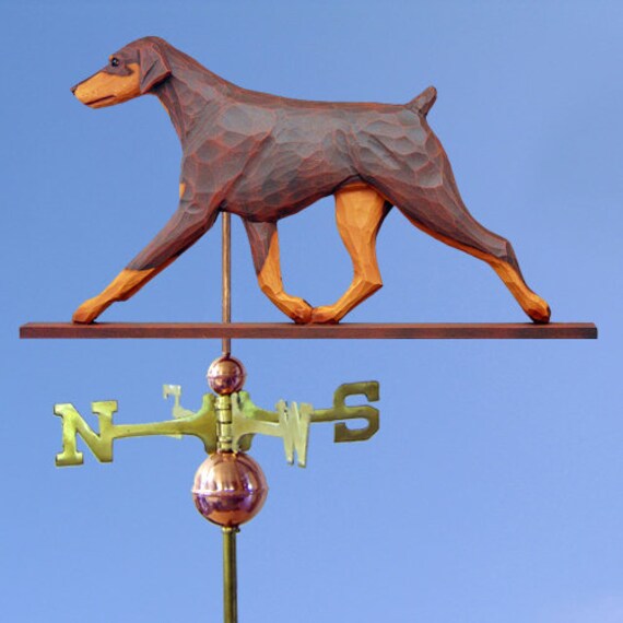 Doberman 22