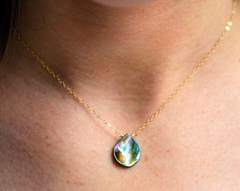 13mm x 18mm 14k Yellow Gold Nautilis Shell Pendant
