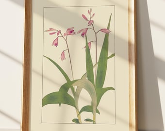 Japanse botanische print | Vintage roze orchideebloemkunst | Bloemen muurdecoratie in ukiyo-e-stijl | Elegante natuurillustratie