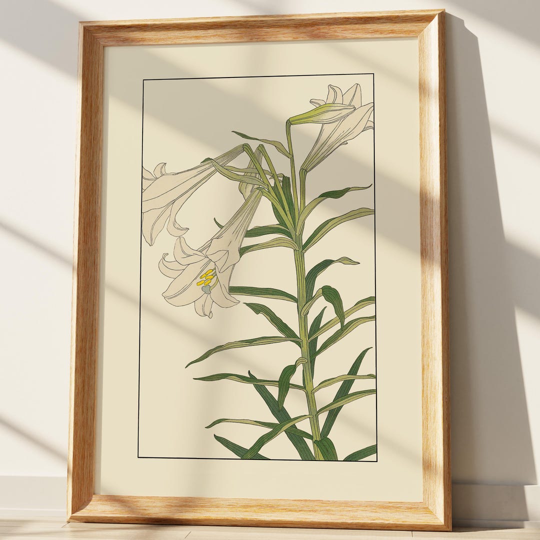 White Lily Wall Art Print, Vintage Botanical Flower Art, Elegant Nature ...