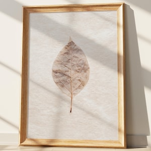 Op de afbeelding: Een ingelijst kunstwerk met een gedroogd blad. Het blad is lichtbruin van kleur met ingewikkelde nerven, tegen een getextureerde, gebroken witte achtergrond. Het frame is gemaakt van lichtgekleurd hout, wat een natuurlijke uitstraling aan het stuk geeft.