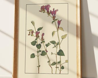 Art mural vintage botanique imprimé fleurs roses, élégant style Art nouveau illustration de la nature pour la décoration intérieure, design floral intemporel