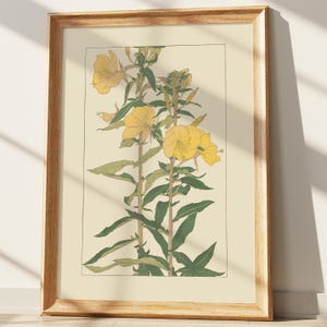 Evening Primrose Botanical Print | Vintage Japanese Kacho-ga Yellow Flower Art | Serene Nature Wall Decor for Modern Home