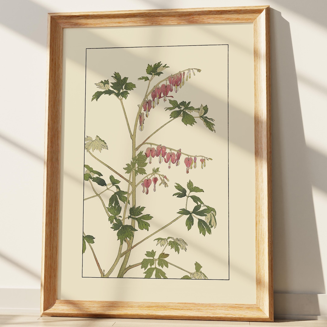 Bleeding Heart Botanical Print, Vintage Japanese Flower Art