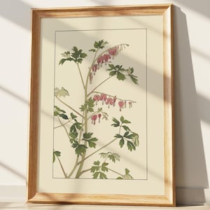 Bleeding Heart Botanical Print, Vintage Japanese Flower Art, Delicate Dicentra Spectabilis Illustration, Nature Wall Decor, Floral Home Acce