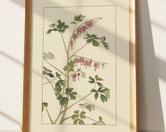Impression botanique coeur saignant, art floral japonais vintage, illustration délicate de Dicentra spectabilis, décoration murale nature, accessoire floral pour la maison