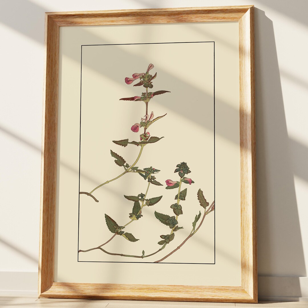 Botanical Print Vintage Pink Wildflower Art, Elegant Floral Wall Decor ...