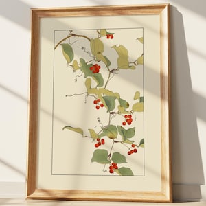 May include: Botanical print in a wooden frame. The artwork features a detailed illustration of a climbing vine with green leaves and clusters of small red berries. The background is a cream color, and the print is enclosed in a black border.