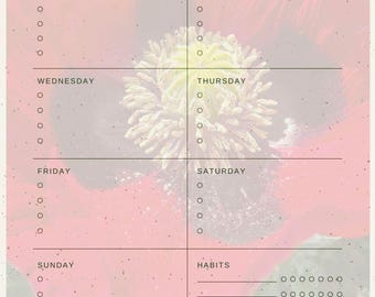 Minimalist Weekly Planner | Undated Schedule, A4 + Letter (PDF)