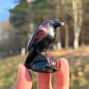 May include: A small, hand-carved stone figurine of a bird, likely a crow or raven, featuring a polished surface with deep black and dark reddish-brown mineral inclusions. The sculpture displays a curved beak, defined wing details, and a smooth texture.