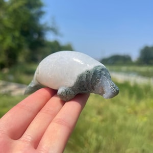 Natural Moss Agate Manatee Carving,Crystal Animal Carved,Home Decor