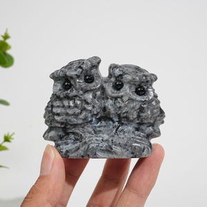 Può includere: Una statuetta in pietra intagliata raffigurante due gufi affiancati. La scultura è realizzata in pietra grigia e nera screziata con una finitura lucida. Ogni gufo presenta dettagli piumati intagliati e occhi neri lisci e rotondi.