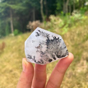 May include: A polished, semi-translucent quartz crystal point featuring intricate, dark black dendritic inclusions that resemble delicate fern-like or tree-branch patterns spreading across the clear, crystalline surface of the stone.