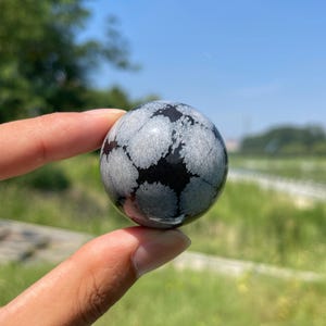 May include: A polished spherical gemstone featuring a smooth, glossy surface with a distinct pattern of white, star-like snowflake inclusions set against a deep, solid black background, showcasing natural mineral formations in a round shape.