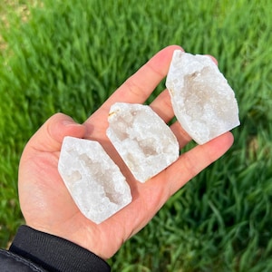 Può includere: Tre grappoli di cristalli di quarzo bianco grezzo sono tenuti in una mano su uno sfondo di erba verde. I cristalli hanno una consistenza ruvida e naturale e un aspetto leggermente traslucido, con strutture interne visibili.