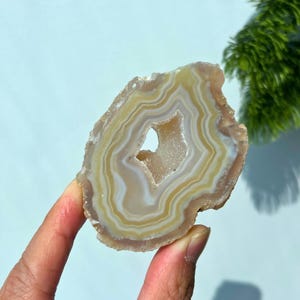 May include: A translucent agate slice featuring concentric bands of cream, beige, and white colours. The stone has a central hollow geode cavity with a textured, crystalline interior surface, showcasing natural mineral formations and earthy tones.