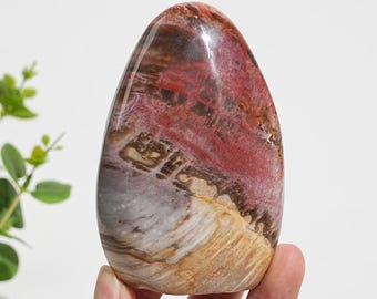 Unique Natural Petrified Wood Ornament,Hand Carved,Crystal Gift,Home Decor
